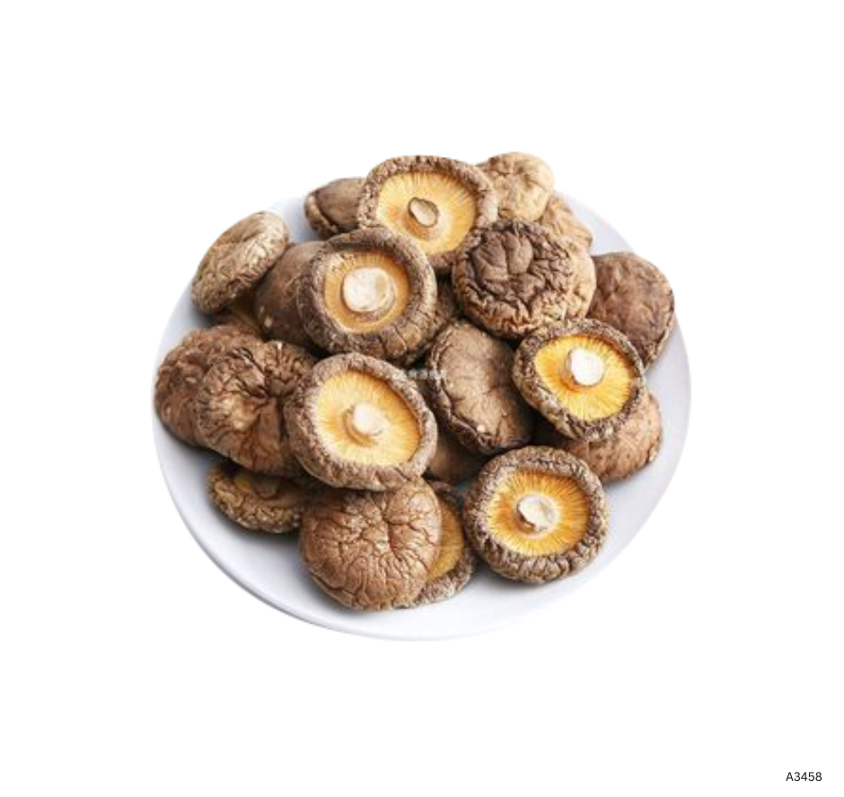 Dried Mushroom  2-3cm